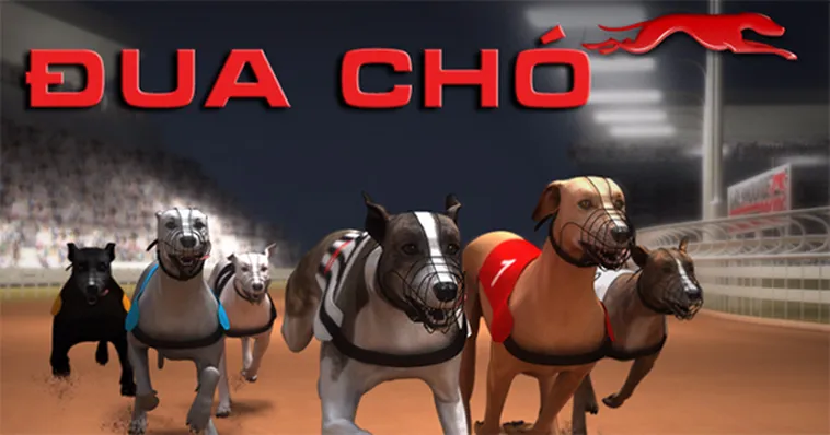 Hướng Dẫn Chơi Đua Chó Tại iWinClub Và Các Mẹo Cược Từ Chuyên Gia